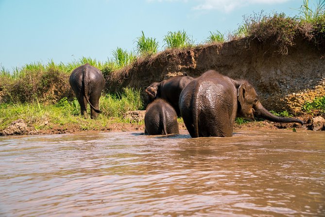 11 Day Tuk Tuk Adventure in Northern Thailand Review - Key Takeaways