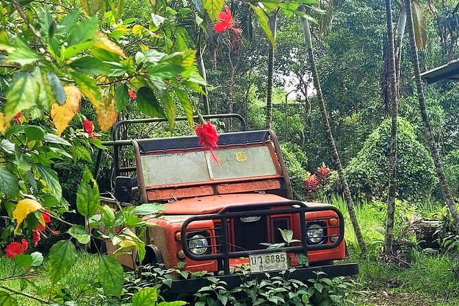 6 Hrs Off Road 4×4 Adventure Review