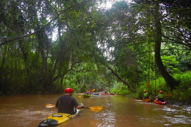Full-Day River Kayaking Trip in Northern Thailand Review