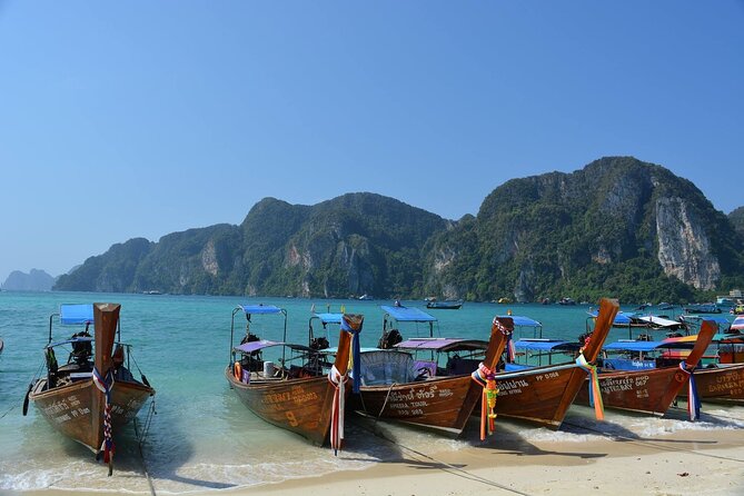 Highlights of Phi Phi Islands Tour Review