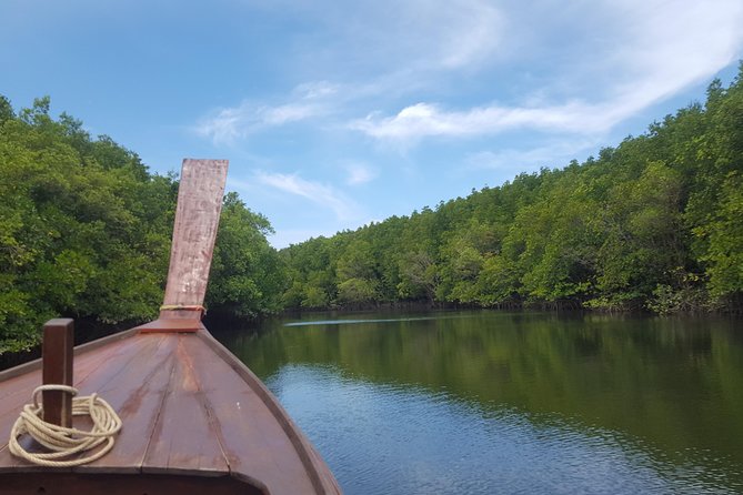 Khao Lak Mangrove Explorers Review: A Kayaking Adventure