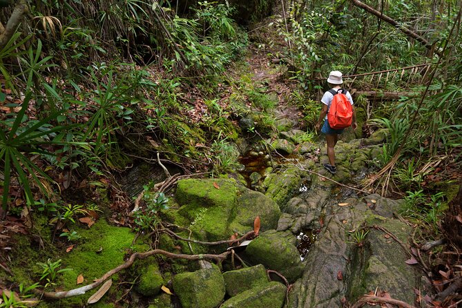 Khao Sok Rainforest | Hike + Canoe