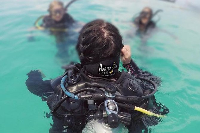 Open Water Diver Course Review: Scuba Certification Experience