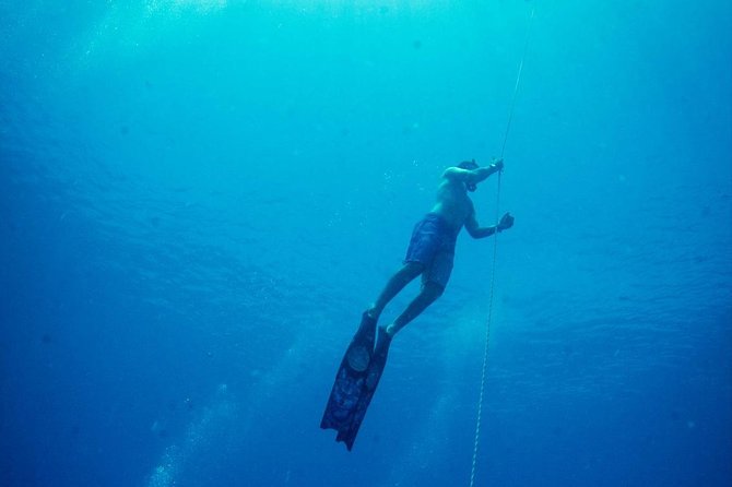 Padi Freediver, Learn How to Freedive and Get Your First License (At Koh Chang)