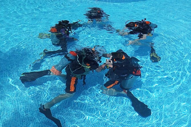 Padi Open Water Diver Course Review