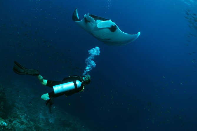Scuba Dive in Koh Lanta, Thailand Review