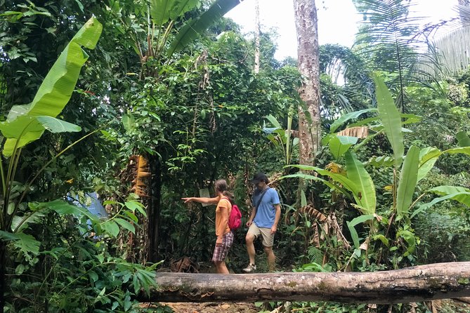 Small-Group Jungle Hiking Excursion Review: Worth the Hike