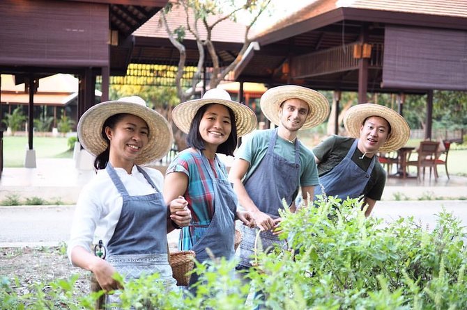 Half Day Thai Cooking Class in Organic Farm - Evening Session - The Farm Experience: Discovering the Organic Farm