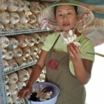 unique-farm-to-table-cooking-class-in-saigon-cultivating-fresh-ingredients-farm-to-table-philosophy