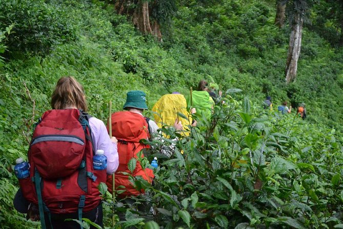 3-Day Chiang Dao Mountain Trek Review - Itinerary and Logistics Details