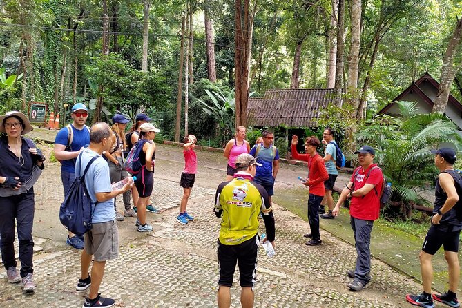6-Hour Doi Pui Summit Hike in Doi Suthep National Park From Chiang Mai - Preparing for the Adventure