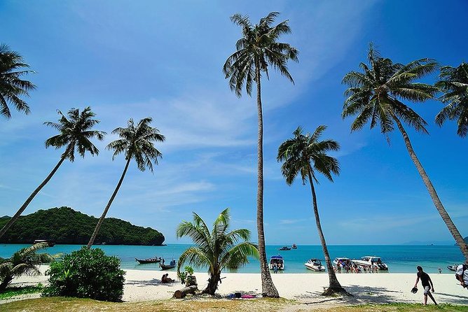 Angthong National Marine Park by Speed Boat With Snorkeling & Kayaking - Meeting and Pickup Information