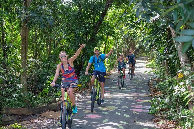 Bangkok Jungle Bike Tour Review: Worth the Ride - What to Expect From the Tour