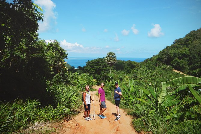 Big Buddha Jungle Trekking With Lunch in Phuket Review - What to Expect on the Trek