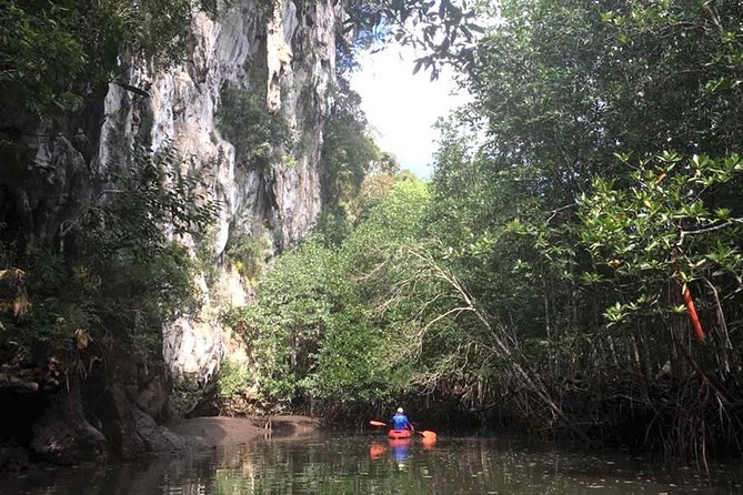 Deep Mangrove and Canyon Kayak Tour in Krabi Review - Our Kayaking Adventure Begins