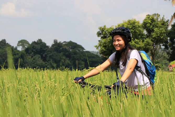 FIELDS OF GOLD Mountain Biking Tour Chiang Mai - Essential Tour Information