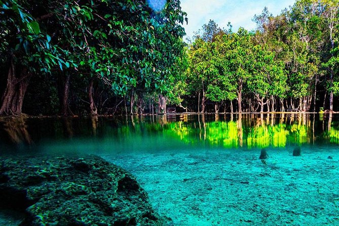 Half Day Jungle Tour to Emerald Pool and Krabi Hot Spring - Important Health and Safety