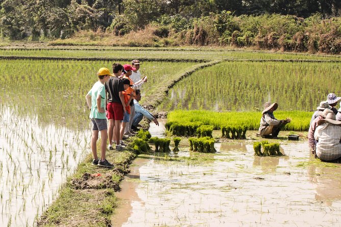 Half-Day Lanna Countryside Cycling Tour in Chiang Mai - Important Tour Details