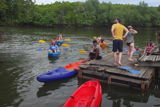 Half Day Mangrove by Kayaking or Longtail Boat From Koh Lanta - Reviews and Ratings From Travelers