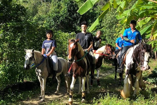 Horseback Riding 1 Hour Trail Review - Ride Details and Logistics