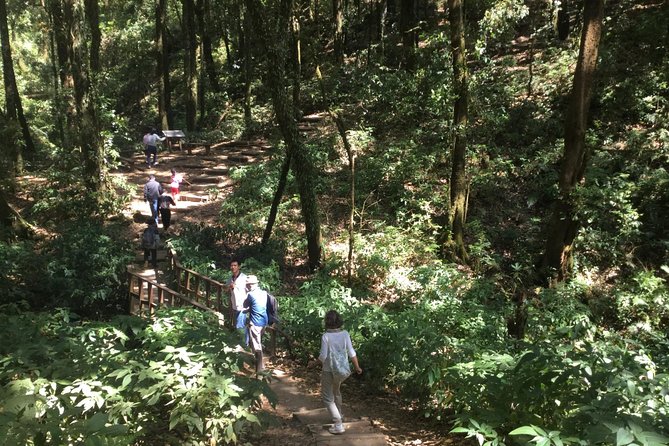 Inthanon Small-Group With Kew Mae Pan Trail From Chiang Mai Include Lunch - Whats Included and Excluded