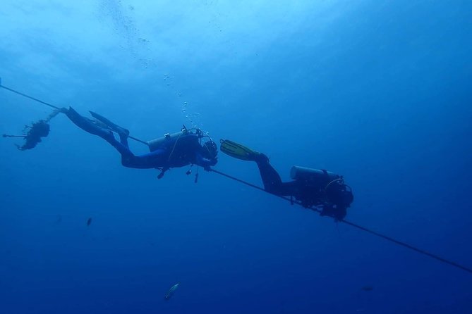 Koh Chang Dive Trip Review: Is It Worth It - What to Expect From the Guides
