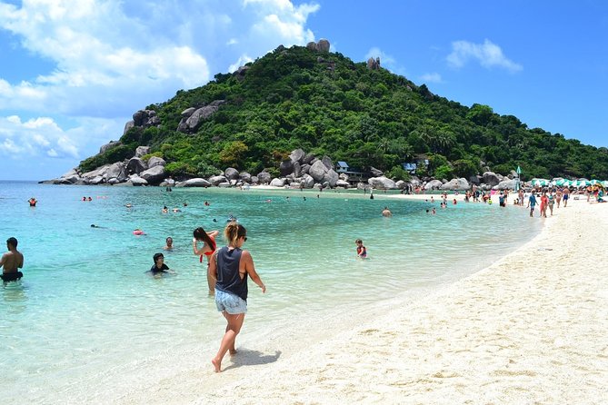 Koh Tao and Koh Nang Yuan Snorkeling Trip By Speedboat From Koh Samui - Inclusions and Important Details