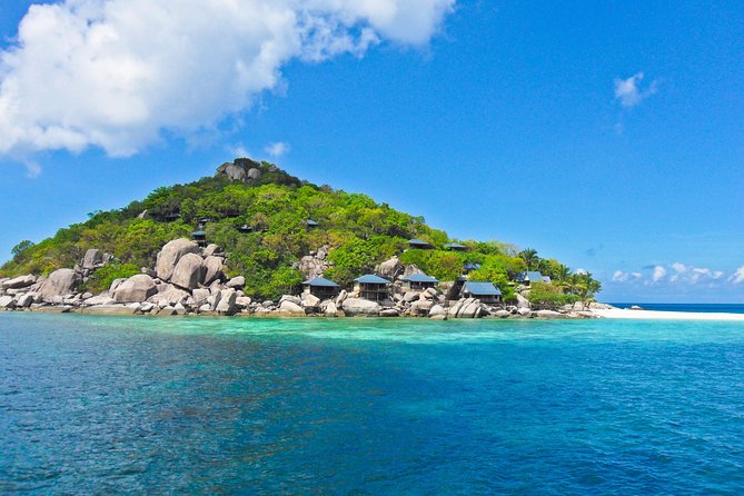 Koh Tao & Koh Nangyuan by Speed Boat (Snorkeling Trip From Koh Samui) - Important Health and Safety Notes