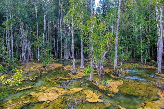 Krabi Outback Explorer to Emerald Pool, Wareerak Hotspring and Beyond - Emerald Pools and Hot Springs