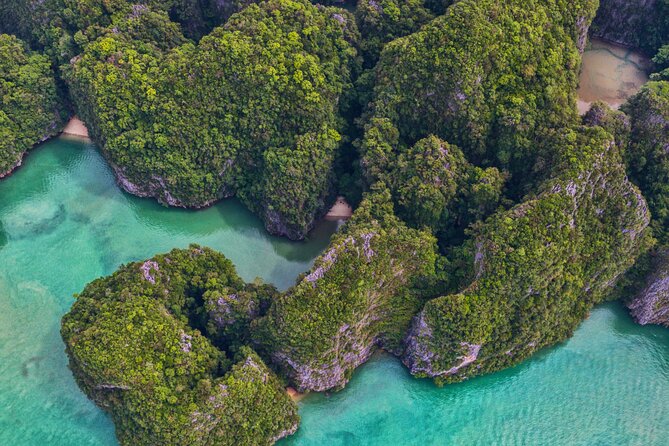 Phang Nga Bay Private Bioluminescence Tour Review - Tour Logistics and Scheduling