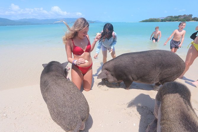 Pig Island Snorkeling Tour Review: Worth the Ride - Pickup and Timing Logistics