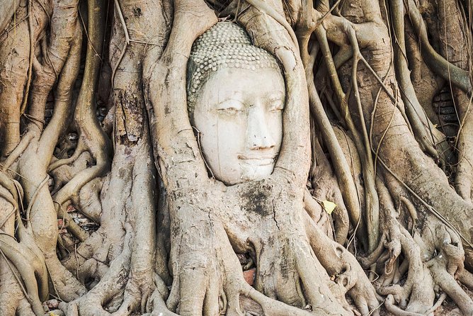 Private Tour: Ayutthaya Day Trip From Bangkok Review - Inclusions and What to Expect