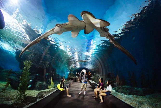 Sealife Bangkok + Madame Tussauds Bangkok - Ticket Inclusions and Pricing