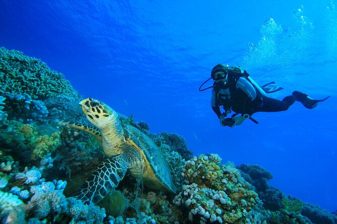 SSI PADI Open Water Course in Phuket Review - Instructor Quality and Guidance