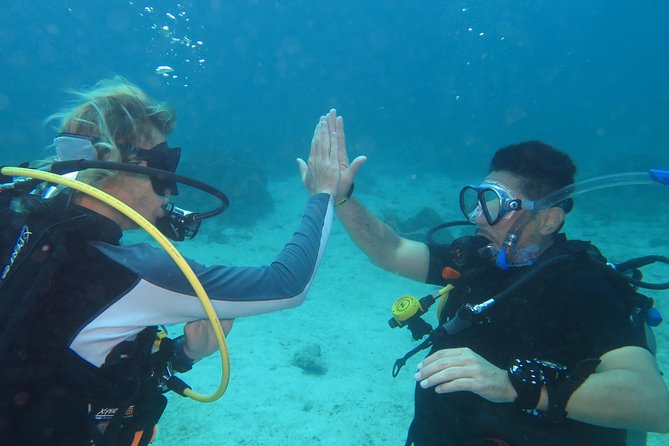 3-Day PADI Open Water Diver Course Review - Key Takeaways