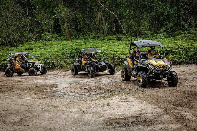 A Thrilling Off-Road Buggy Adventure in Pattaya - A Guided Tour - Real Reviews From Past Riders