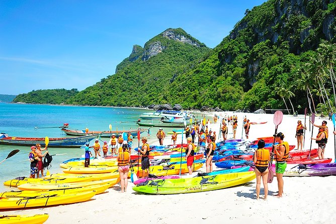 Angthong National Marine Park Trip By Speedboat From Koh Samui - Safety Precautions and Guidelines