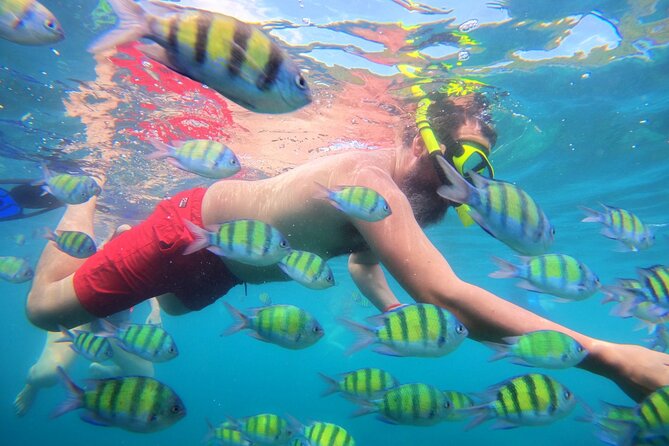 Best of Phi Phi Islands Snorkeling Tour Review - Tour Requirements and Restrictions