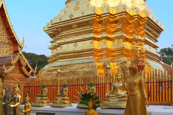 Chiang Mai City & Temples Tour - Reviews From Satisfied Travelers