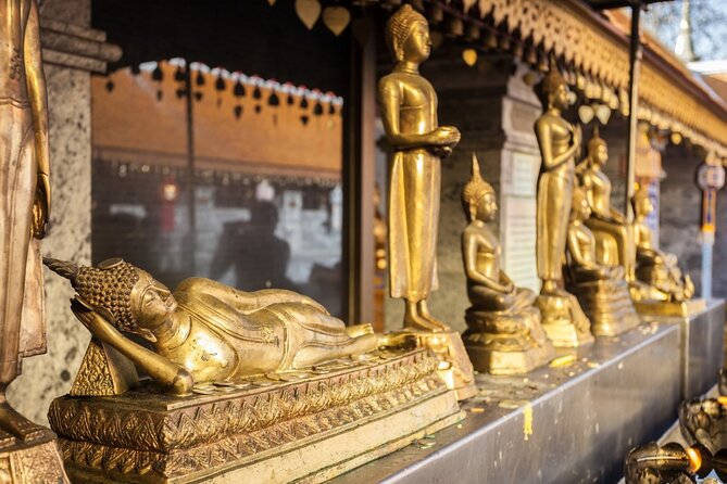 Chiang Mai - Doi Suthep Temple & Wat Pha Lat Hike Review - Essential Information to Know