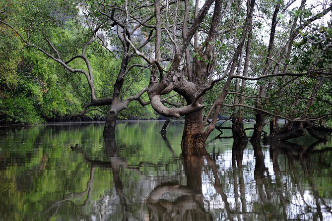 Deep Mangrove and Canyon Kayak Tour in Krabi Review - Wildlife and Ecosystem Exploration