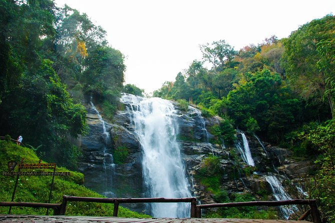 Doi Inthanon National Park 1-Day Tour Review - Tour Highlights and Inclusions