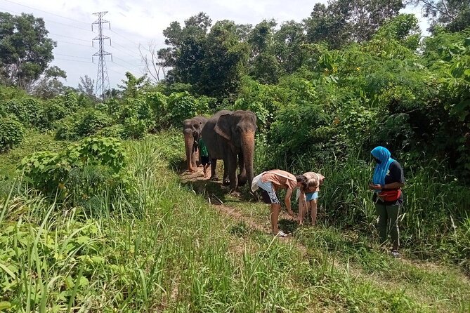 Elephant Sanctuary Small Group Tour in Phuket Review - Important Health and Safety Notes