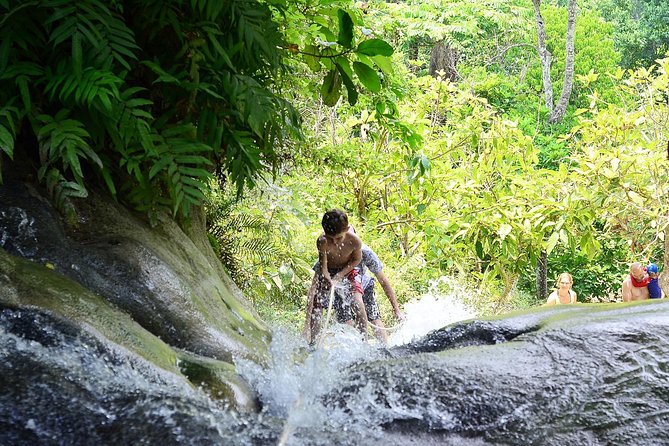 Experience Elephant Sanctuary + Sticky Waterfall Review - Exploring the Sticky Waterfall