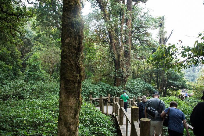 Explore Doi Inthanon National Park: Full Day Tour Review - Tour Highlights and Activities