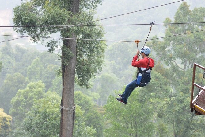 Extream Zipline @ Kingkong Smile and Dip in Hot Spring - Health and Safety Guidelines