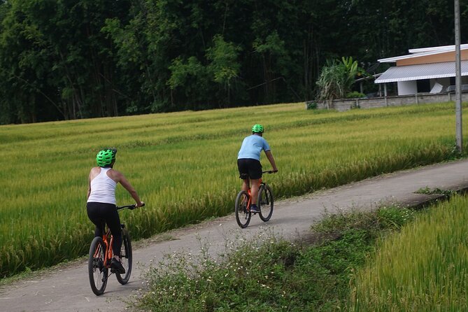 FIELDS OF GOLD Mountain Biking Tour Chiang Mai - Rider Requirements and Restrictions