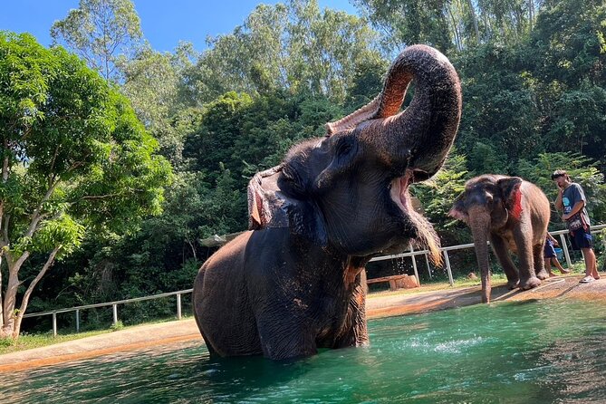 From Bangkok: Elephant Jungle Sanctuary Day Trip - Planning Your Elephant Sanctuary Visit