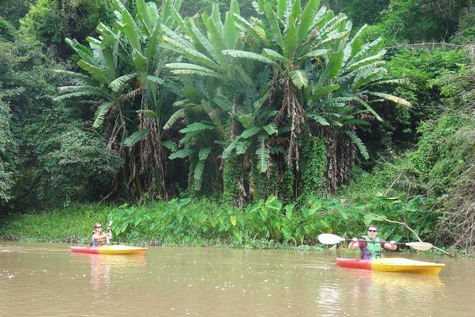 Full-Day Leisure River Kayaking Into Mae Taeng Forest Reserve From Chiang Mai - Inclusions and Important Details