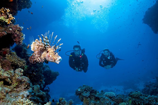 Full-Day Racha Yai Private Scuba Diving Course Review - The Diving Experience Review